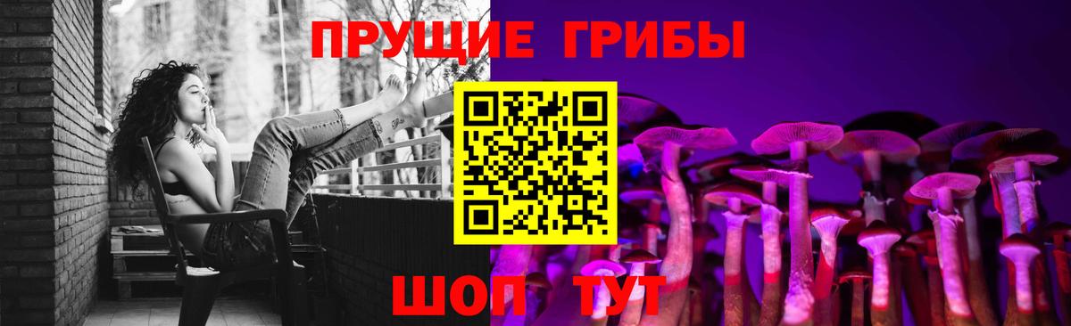 Галлюциногенные грибы мицелий  Вход с VPN  Зима  Галлюциногенные грибы Psilocybine cubensis 